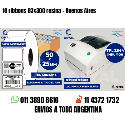 10 ribbons 83x300 resina - Buenos Aires