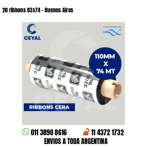 20 ribbons 83×74 – Buenos Aires