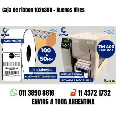 Caja de ribbon 102x300 - Buenos Aires