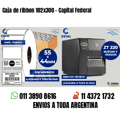 Caja de ribbon 102x300 - Capital Federal