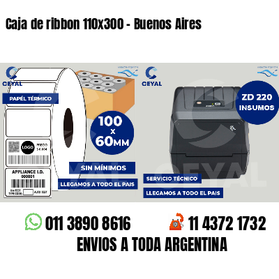 Caja de ribbon 110x300 - Buenos Aires