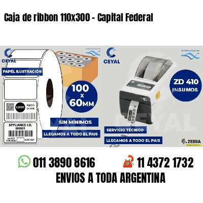 Caja de ribbon 110x300 - Capital Federal