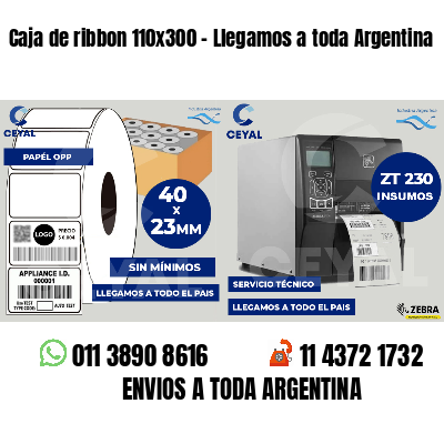 Caja de ribbon 110x300 - Llegamos a toda Argentina