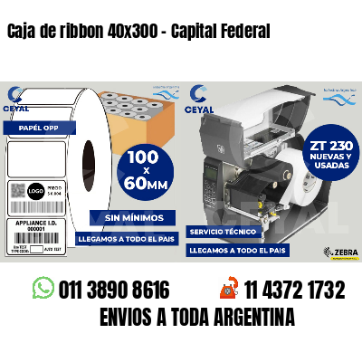 Caja de ribbon 40x300 - Capital Federal
