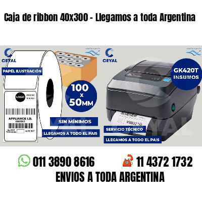 Caja de ribbon 40x300 - Llegamos a toda Argentina