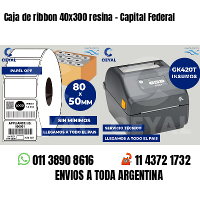 Caja de ribbon 40x300 resina - Capital Federal