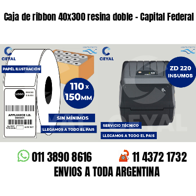 Caja de ribbon 40x300 resina doble - Capital Federal