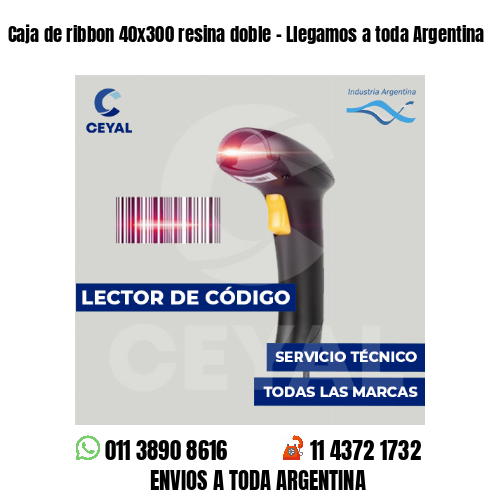 Caja de ribbon 40x300 resina doble - Llegamos a toda Argentina
