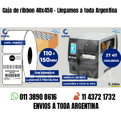 Caja de ribbon 40x450 - Llegamos a toda Argentina