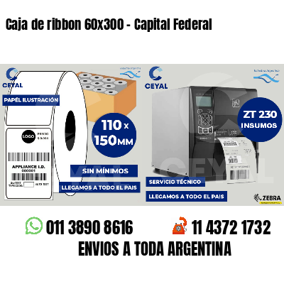Caja de ribbon 60x300 - Capital Federal
