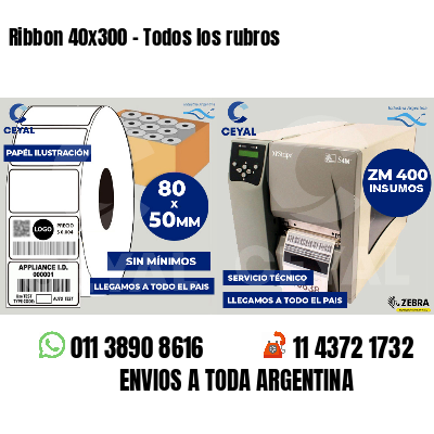 Ribbon 40x300 - Todos los rubros