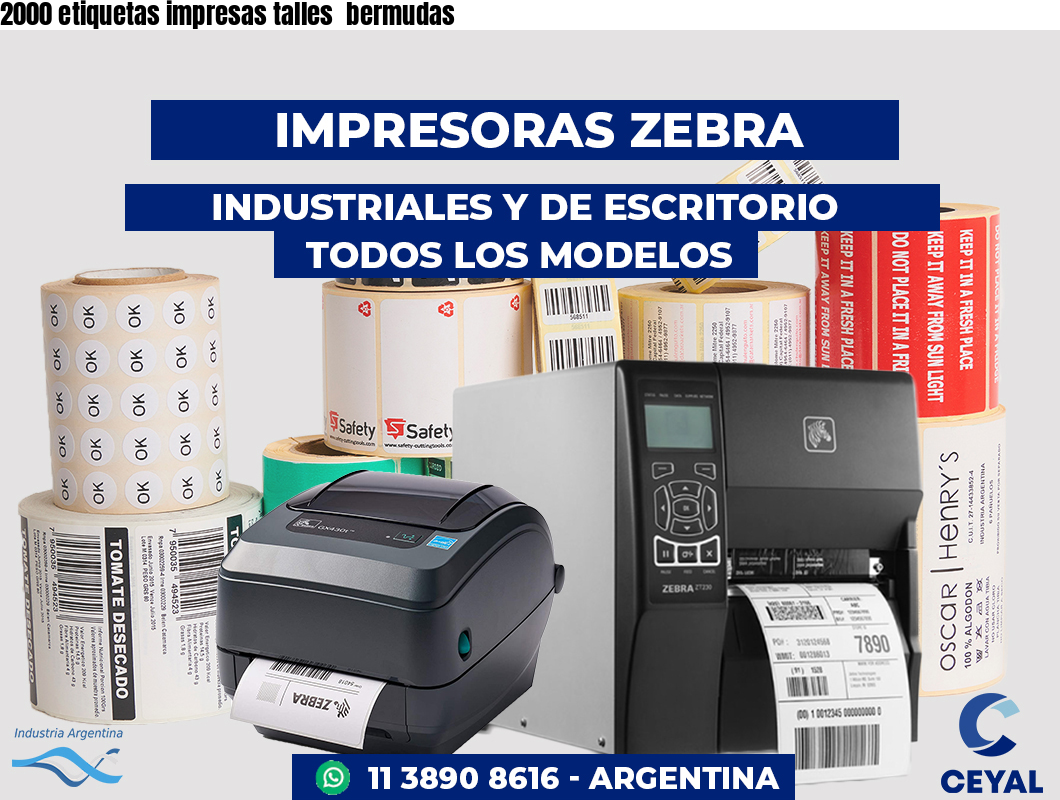 2000 etiquetas impresas talles  bermudas