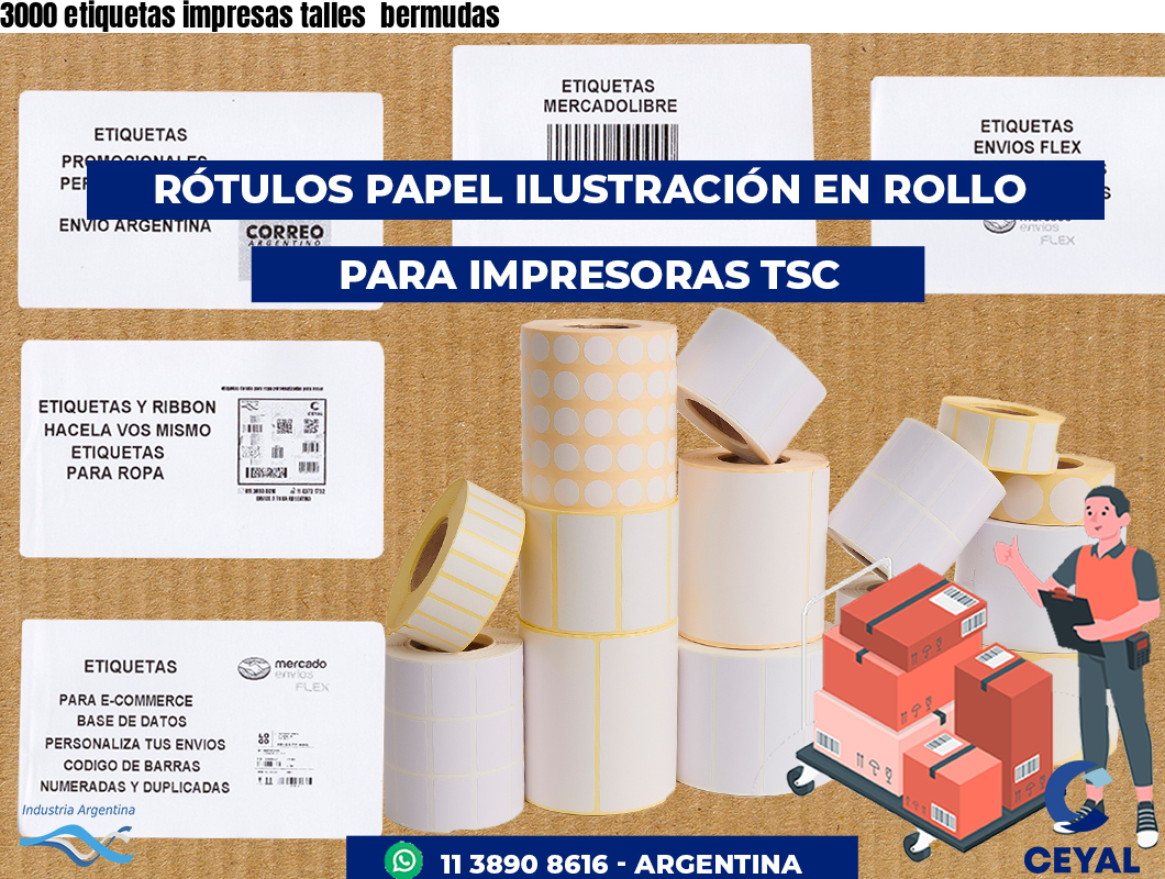 3000 etiquetas impresas talles  bermudas
