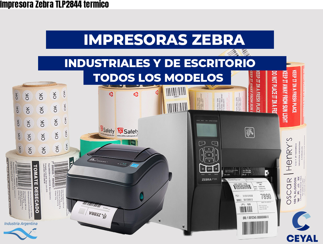 Impresora Zebra TLP2844 termico