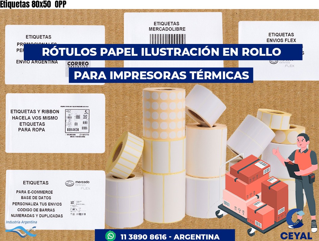 Etiquetas 80x50 OPP