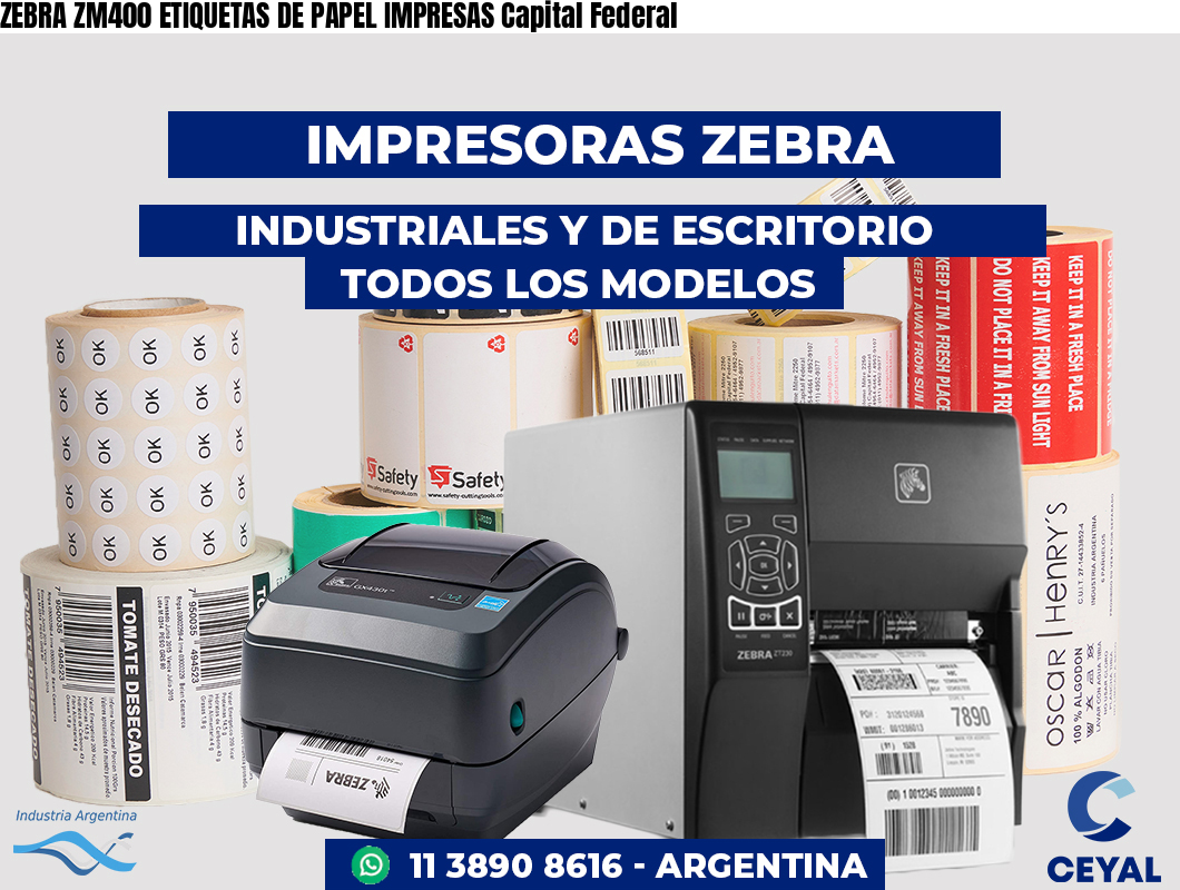 ZEBRA ZM400 ETIQUETAS DE PAPEL IMPRESAS Capital Federal