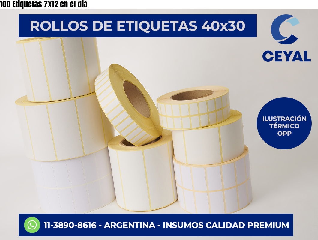 100 Etiquetas 7×12 en el dia