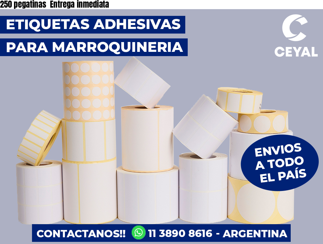 250 pegatinas Entrega inmediata