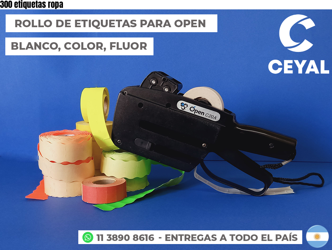 300 etiquetas ropa