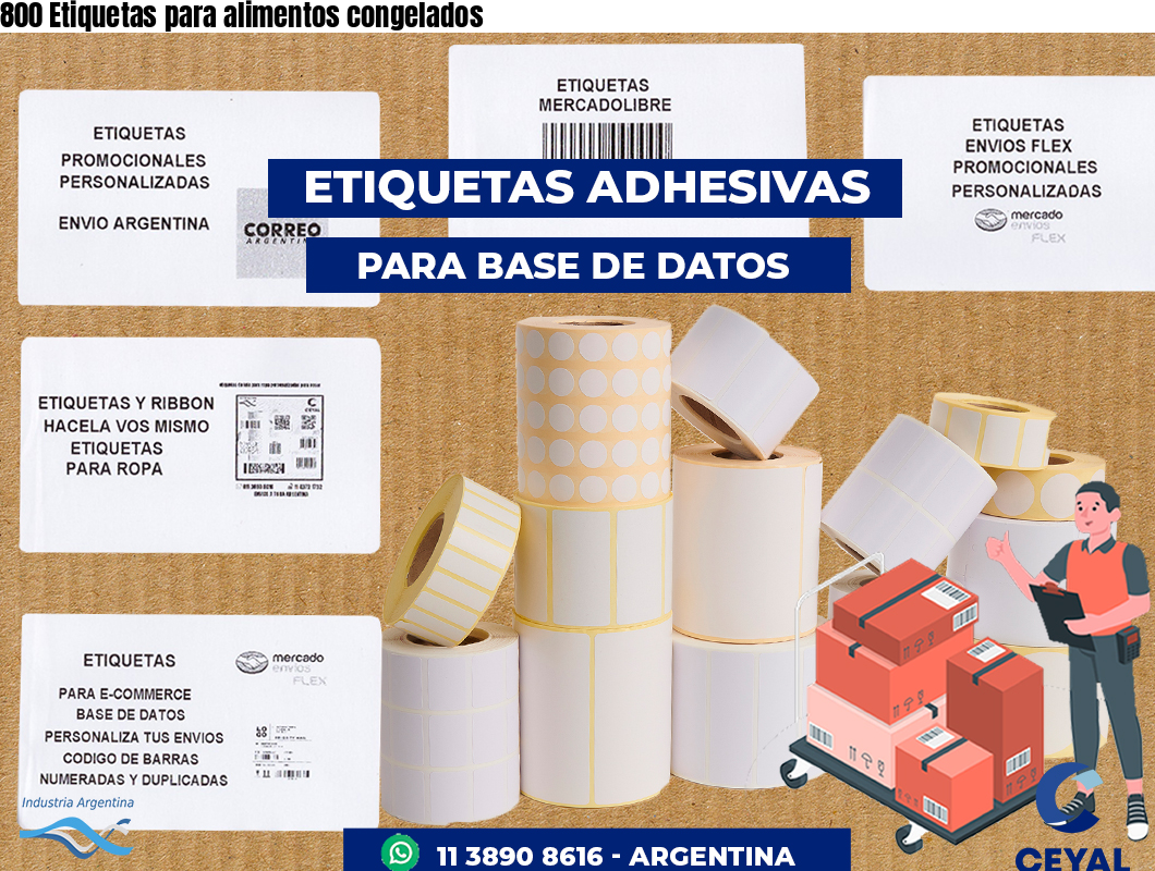 800 Etiquetas para alimentos congelados