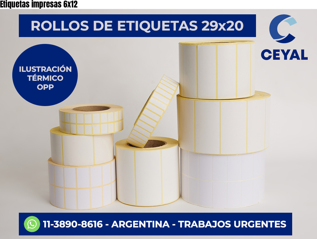 Etiquetas impresas 6×12