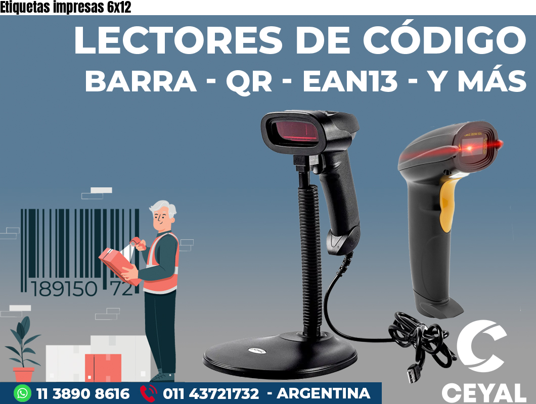 Etiquetas impresas 6x12