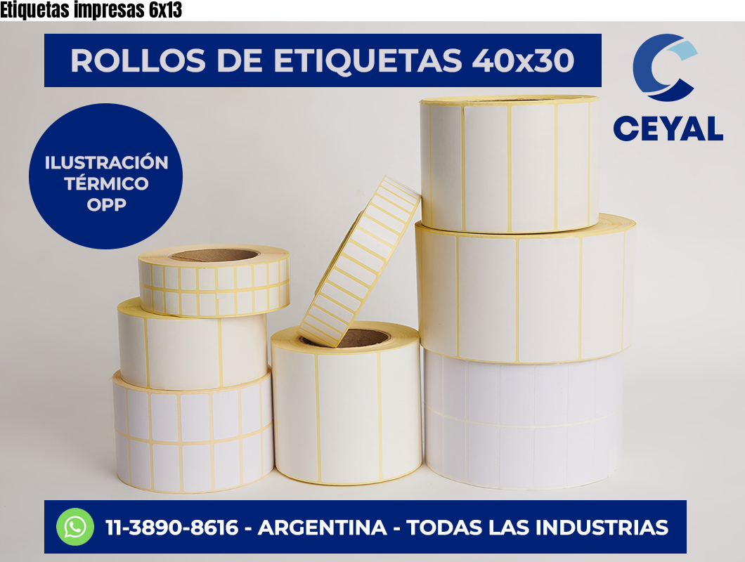 Etiquetas impresas 6×13