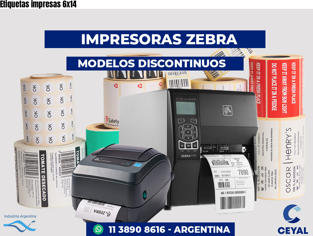 Etiquetas impresas 6x14
