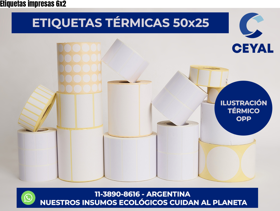 Etiquetas impresas 6×2