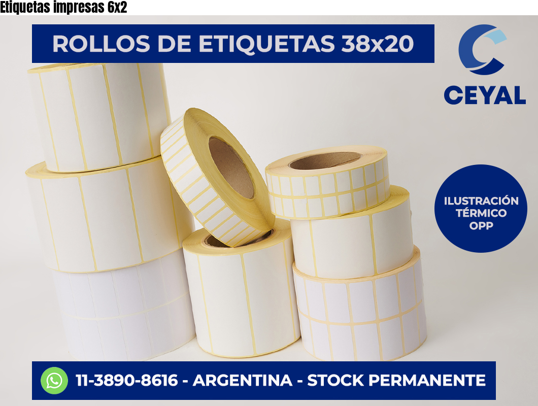 Etiquetas impresas 6×2
