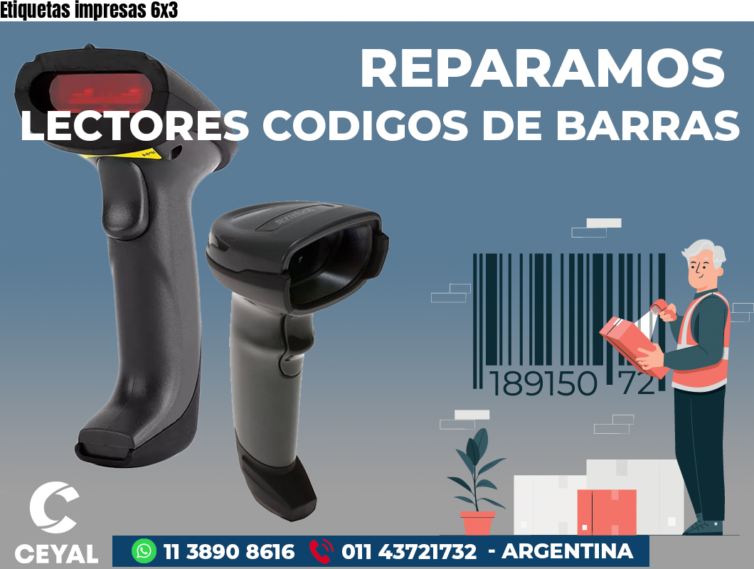 Etiquetas impresas 6x3