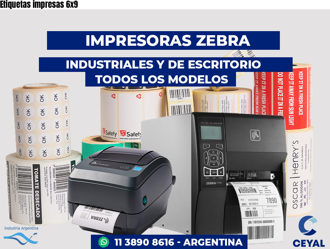 Etiquetas impresas 6x9