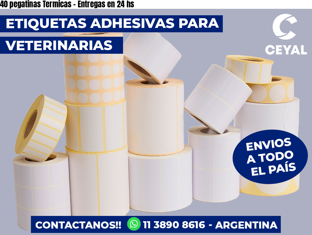 40 pegatinas Termicas - Entregas en 24 hs