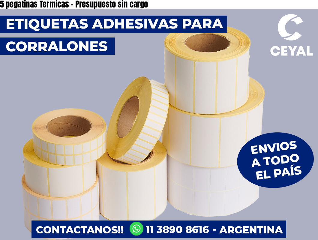 5 pegatinas Termicas - Presupuesto sin cargo