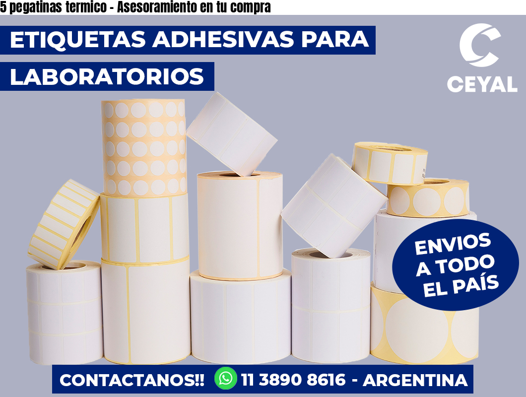 5 pegatinas termico - Asesoramiento en tu compra