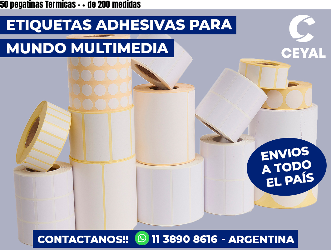 50 pegatinas Termicas - + de 200 medidas