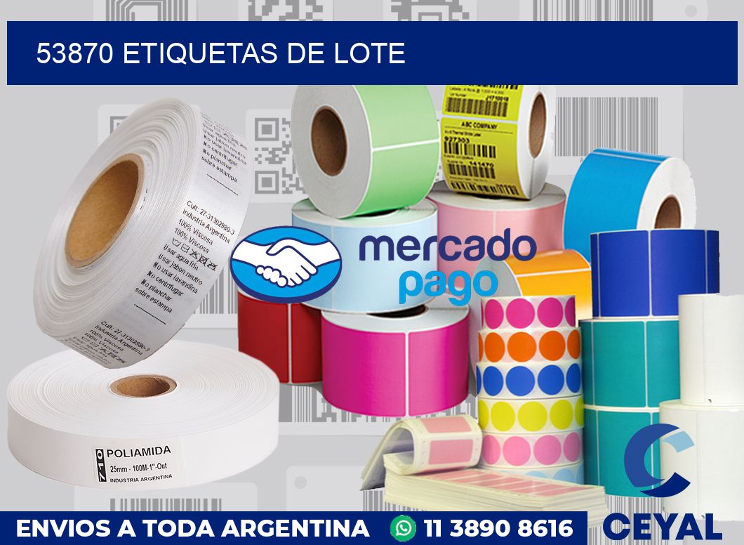 53870 Etiquetas de lote