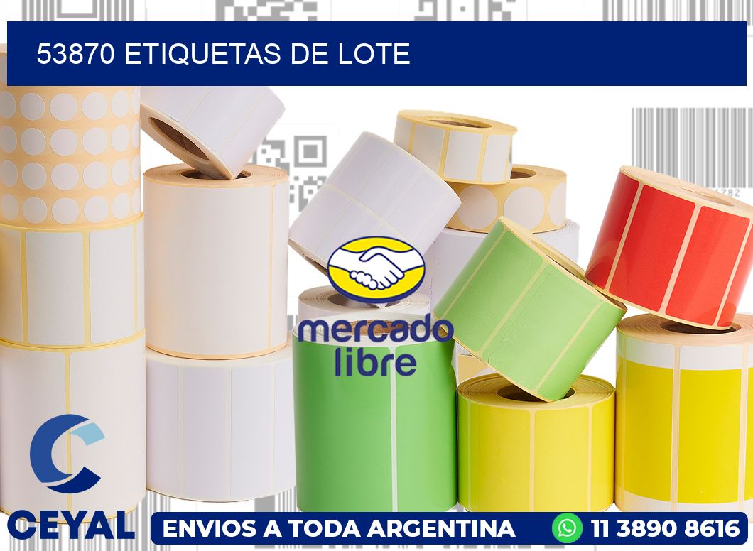 53870 Etiquetas de lote