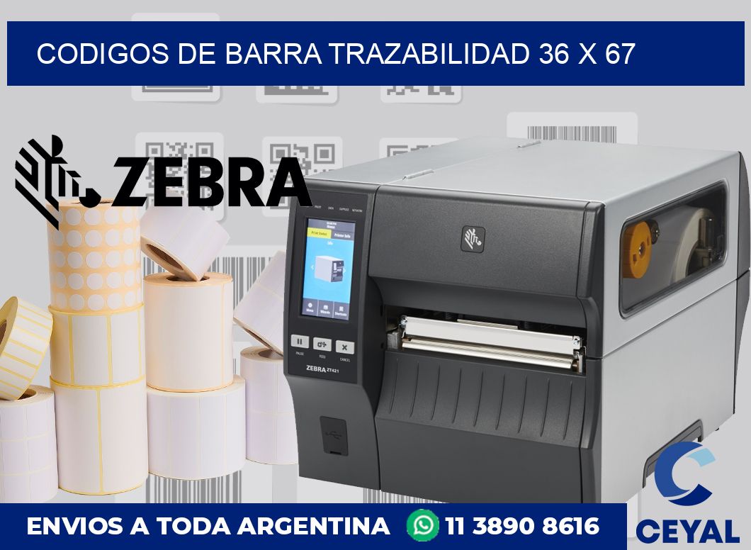 Codigos de barra trazabilidad 36 x 67