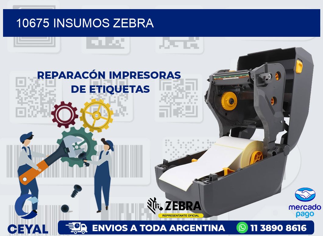 10675 INSUMOS ZEBRA