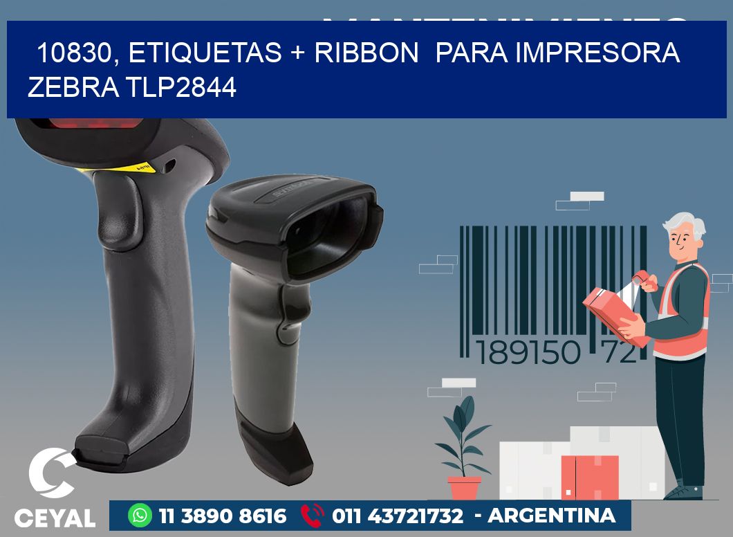 10830, etiquetas + ribbon  para impresora zebra TLP2844