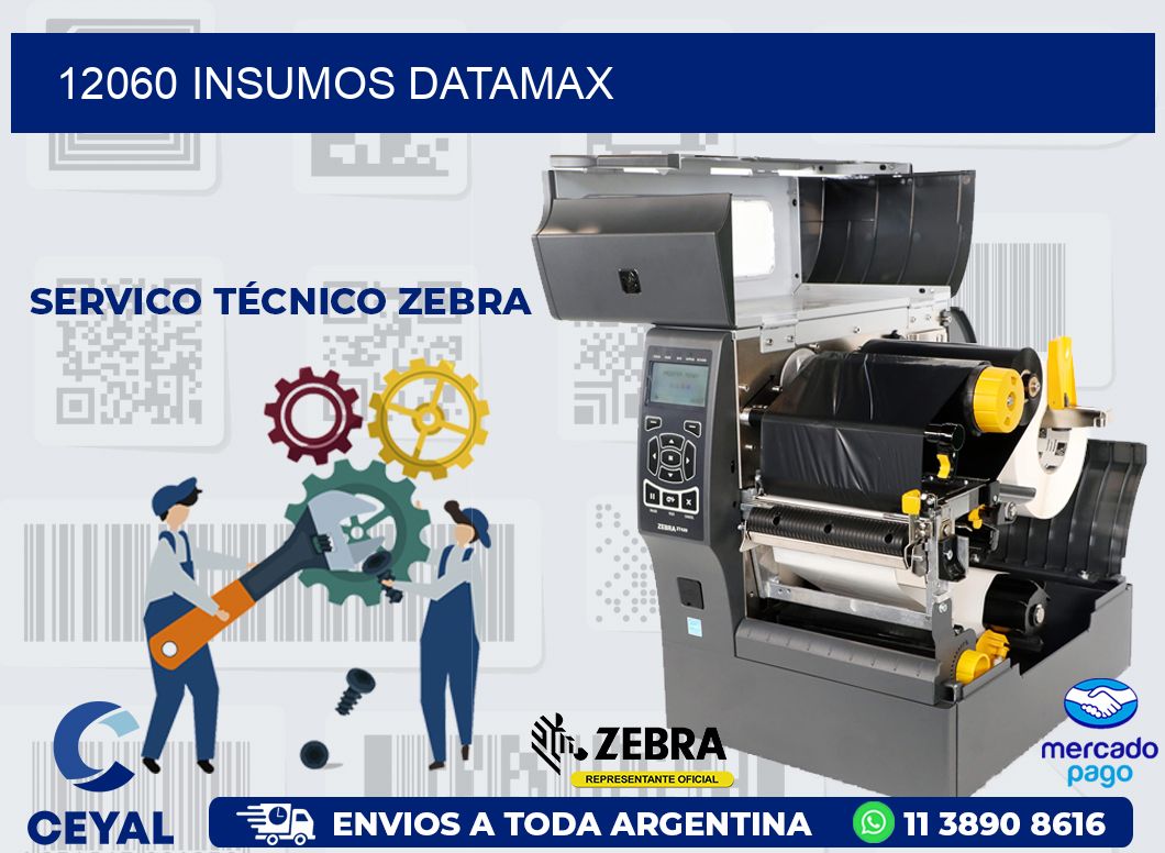 12060 INSUMOS DATAMAX
