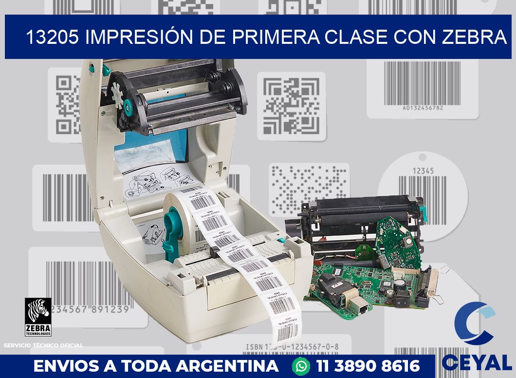 13205 IMPRESIÓN DE PRIMERA CLASE CON ZEBRA