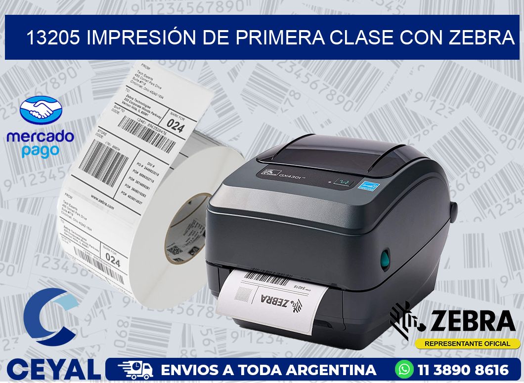 13205 IMPRESIÓN DE PRIMERA CLASE CON ZEBRA