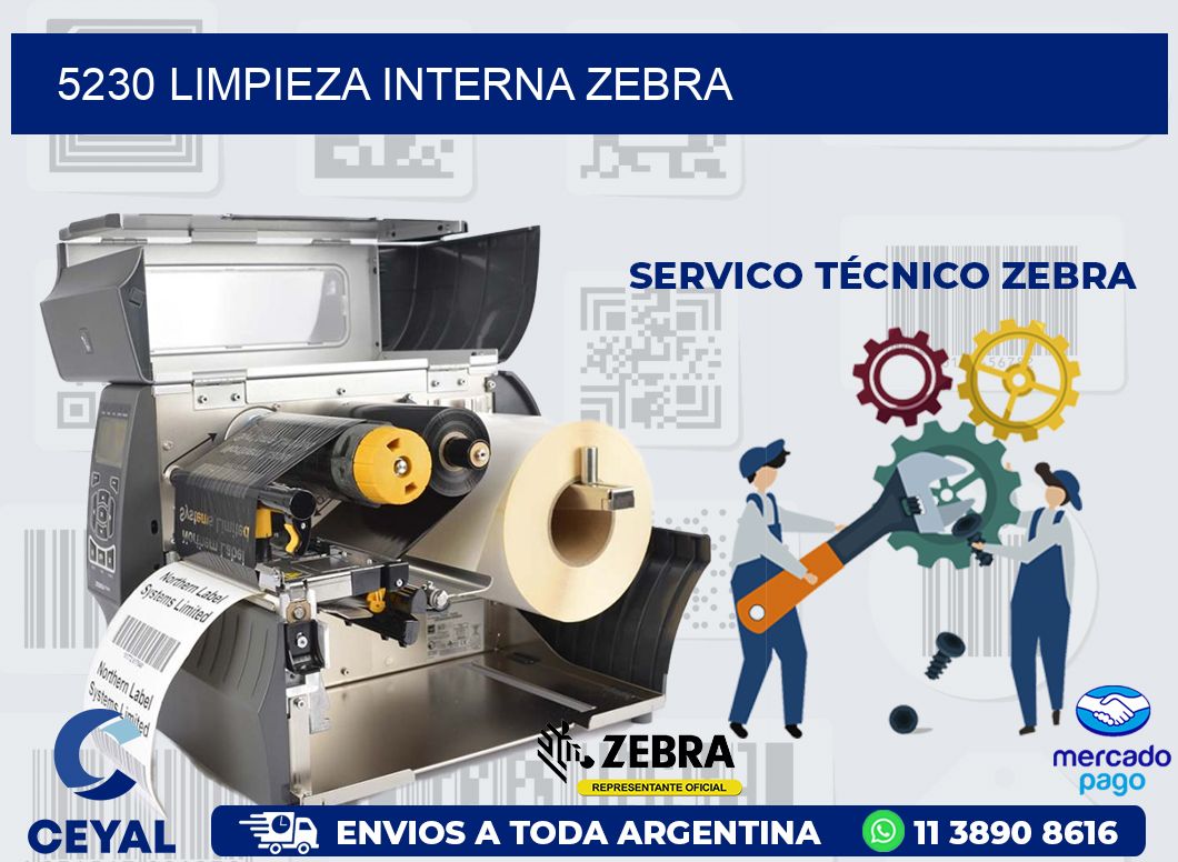 5230 LIMPIEZA INTERNA ZEBRA