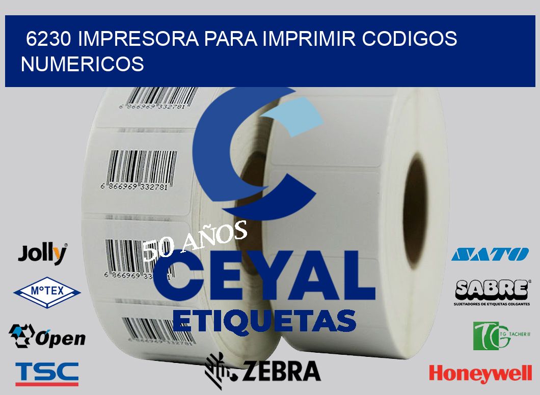 6230 IMPRESORA PARA IMPRIMIR CODIGOS NUMERICOS