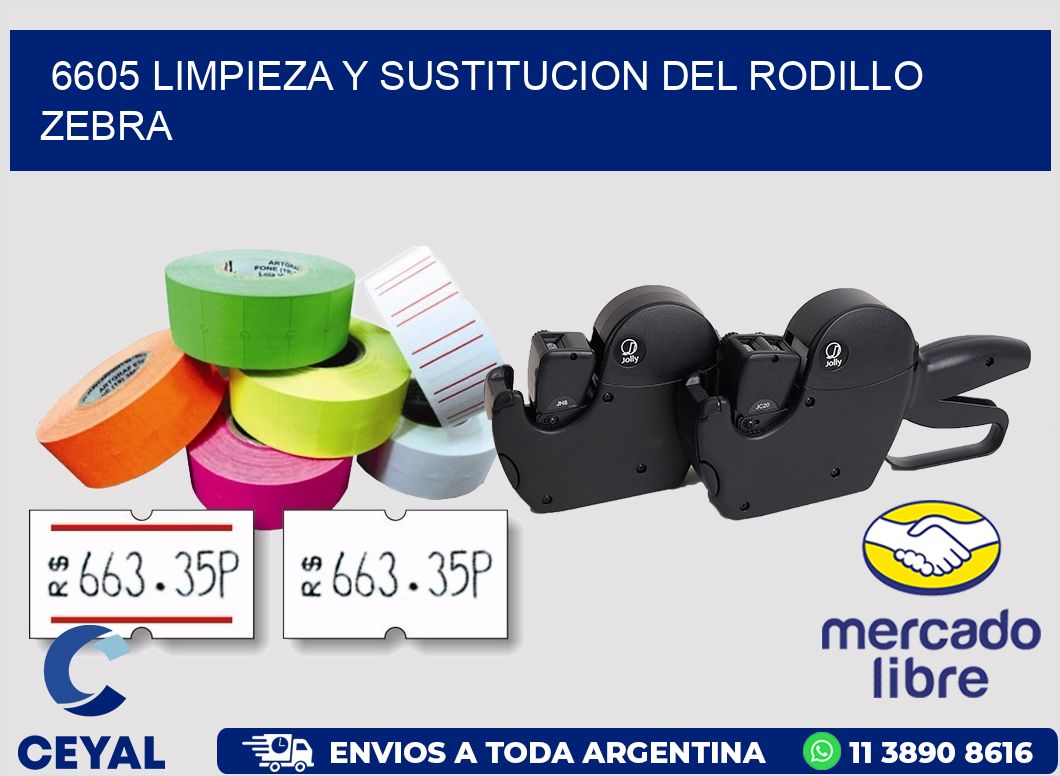 6605 LIMPIEZA Y SUSTITUCION DEL RODILLO ZEBRA