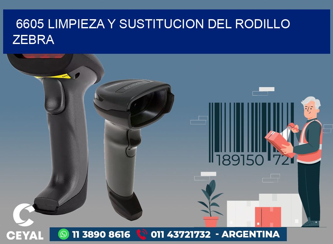 6605 LIMPIEZA Y SUSTITUCION DEL RODILLO ZEBRA