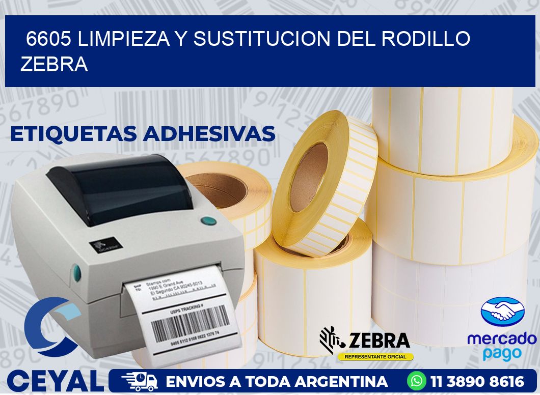 6605 LIMPIEZA Y SUSTITUCION DEL RODILLO ZEBRA