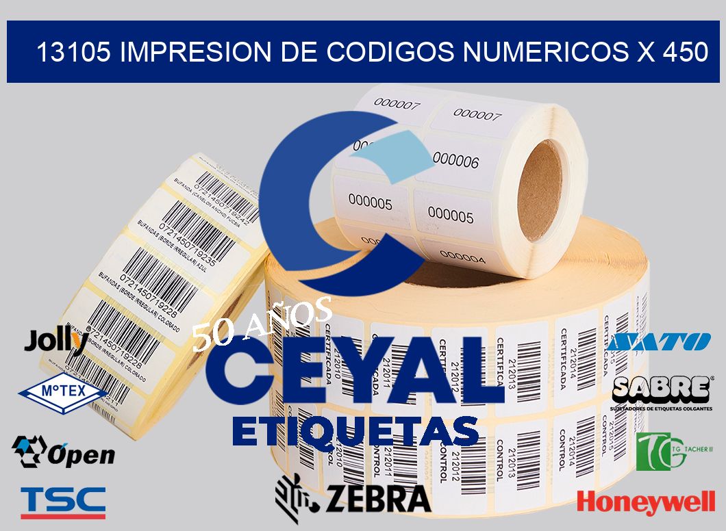 13105 impresion de codigos numericos x 450